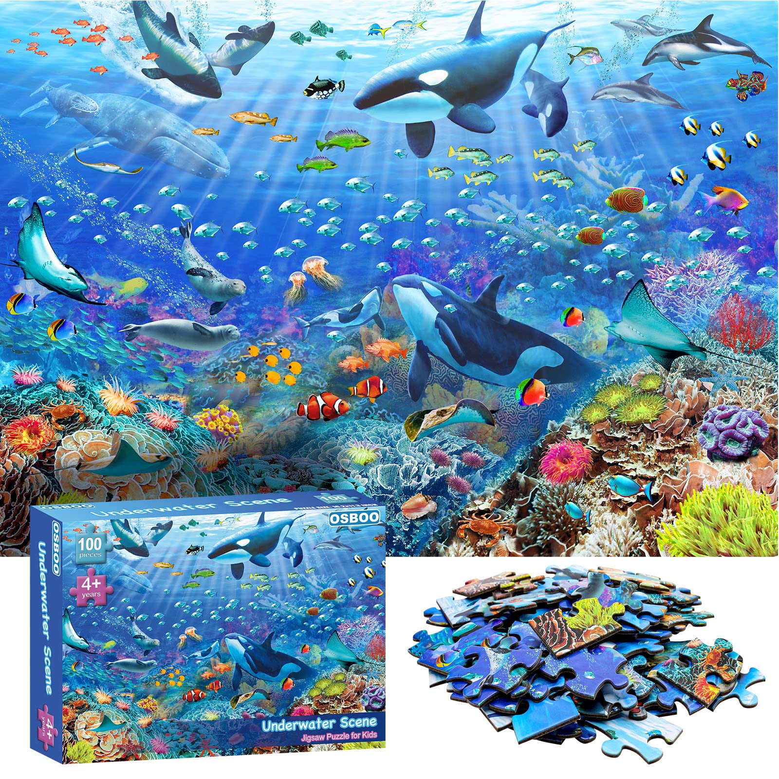 OSBOO Underwater Puzzle